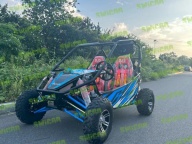 越野卡丁车，金浪 300cc 油冷竞速卡丁车｜双座沙丘越野摩